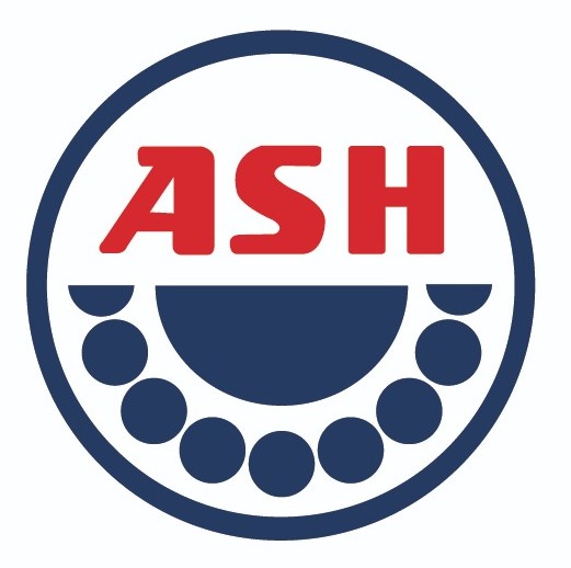 Logo ash