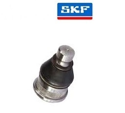 PIVO REN MASTER INF 02/06 LD/LE 22MM - Autovance