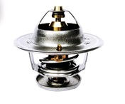 VALV TERM REN MASTER 2.8 02/04 - Autovance