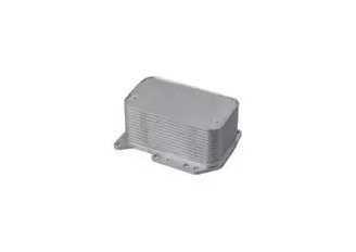 RADIADOR OLEO MASTER 2.3 16V 13/ PARCIAL - Autovance