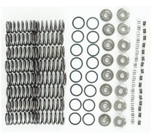 KIT MOLA VALVULA ADM/ESC SPRINTER 12/22 OM651(VER) - Autovance