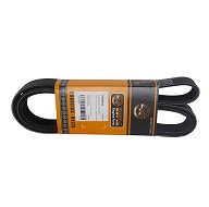 CORREIA ALT REN MASTER 2.3 16V 13/ S/ACD (VER) - Autovance